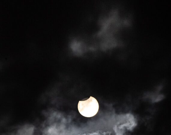 photo 1623326580894 44a3d1dd90e4