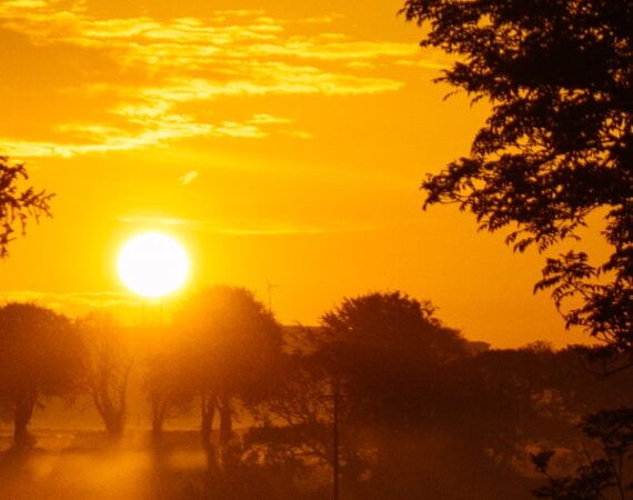 photo 1623819457582 ec2a2f25577c