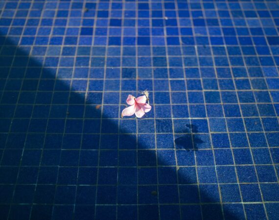 太陽能發電市場趨勢及經濟效益分析 1 photo 1627155748031 e4562d7af0ce