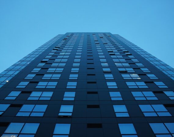 photo 1629316530027 2410a55e41a9