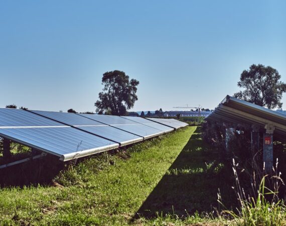 photo 1630672607721 48e0a0187a92