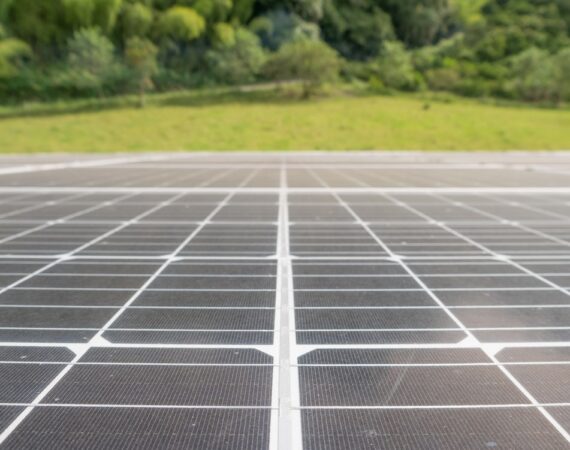 photo 1637076988523 dc397d889461