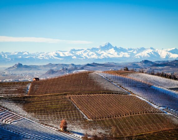 photo 1645794225645 6fc366b25bbf