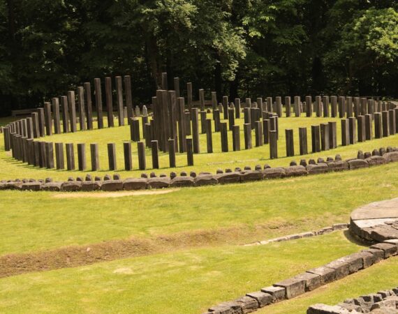 photo 1654248254539 9624ac3e0ab5