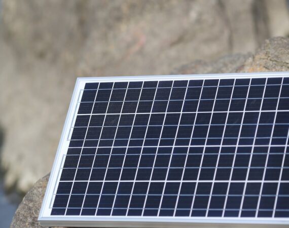 photo 1662078907135 129bc558e5f8