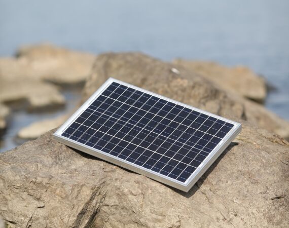 photo 1662078907722 8435fd8c602b