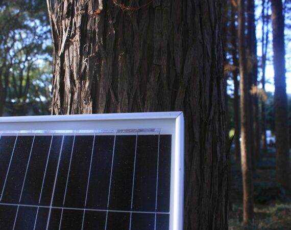 太陽能環保在建築設計中的應用與優勢 4 photo 1662079341479 089e515be0bb