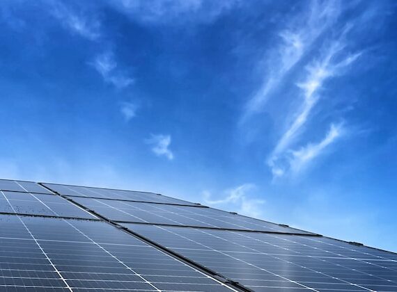 photo 1664828113992 8dd7a26275a0