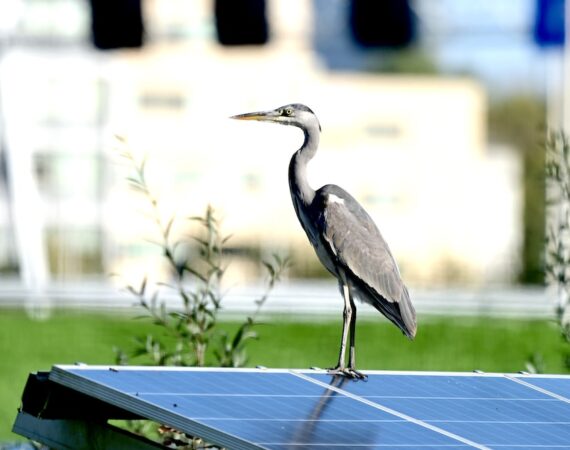 photo 1667417277559 78570d785e8e