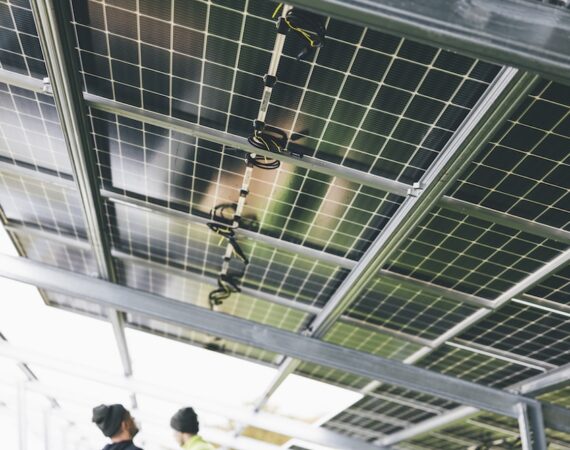 photo 1668097613662 d8ecf1806974