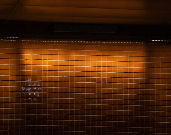 photo 1669236948151 5ac1804f16e1