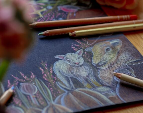 photo 1672352565459 c93c2b78b3d5