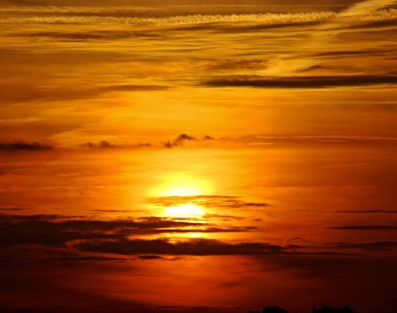 photo 1675695759802 d1b3c7be91da