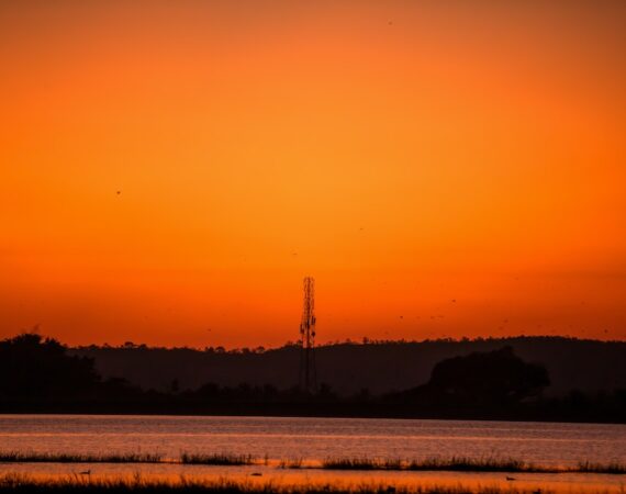 photo 1675695761073 daf92c820466