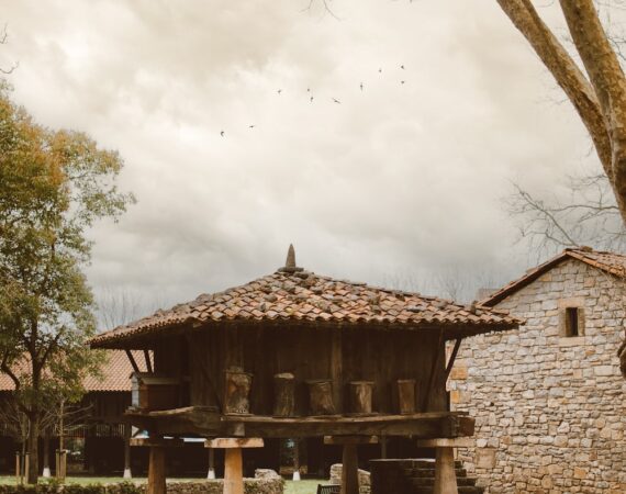 太陽能能源對於土地利用和生態系統的影響之探討 1 photo 1676895270763 256fad2a97fb