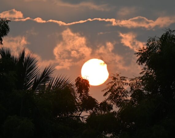 photo 1677758378313 09973154c12d