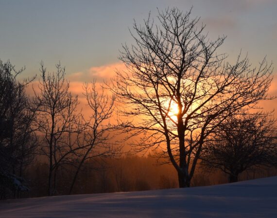 photo 1680358659233 37c862fcf040