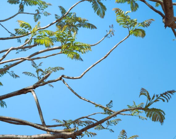 太陽能板技術的進步與應用 3 photo 1680458841513 68fac46fe0b7