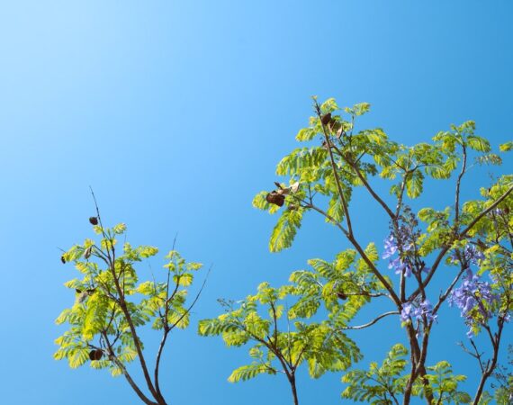 photo 1680458841592 c3cb045ff0ec