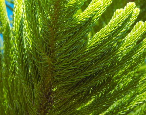 photo 1680458841761 aa88d75843be