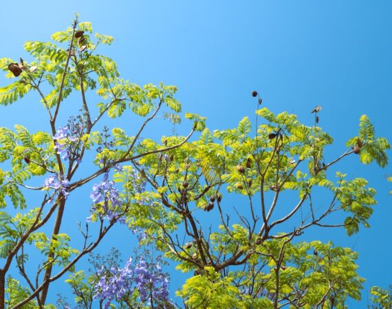 photo 1680458841786 48b74a5fee81