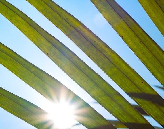 photo 1680458841824 6ce2d1dc2755