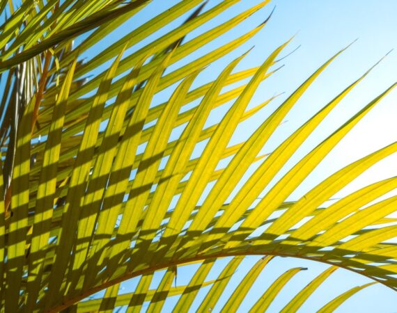 photo 1680458842085 889430eeeb61