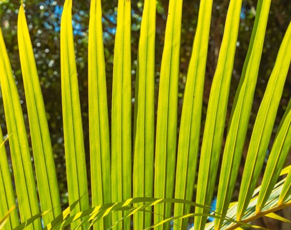 太陽能研發與智慧科技融合: 1 photo 1680458842101 c5178a877f53