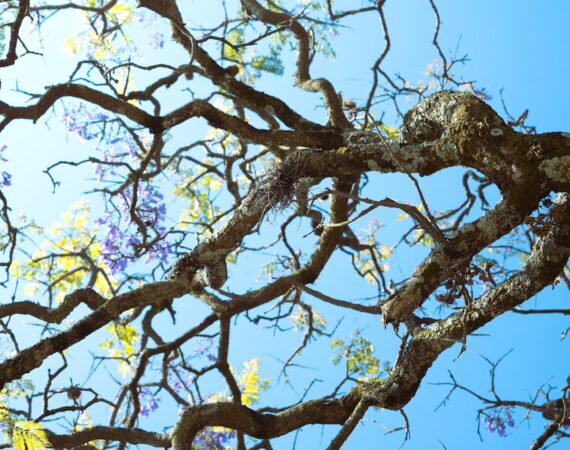 photo 1680458842307 03d691d45d06