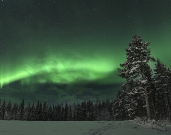 太陽能經濟效益解析:為你的家庭或企業帶來長期優勢 1 photo 1681813952538 5fb12a58e448