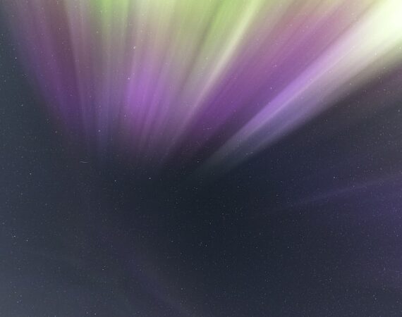 photo 1681825178694 c411e12d484b