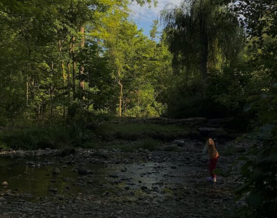 photo 1685419606933 701bd74b8d9d