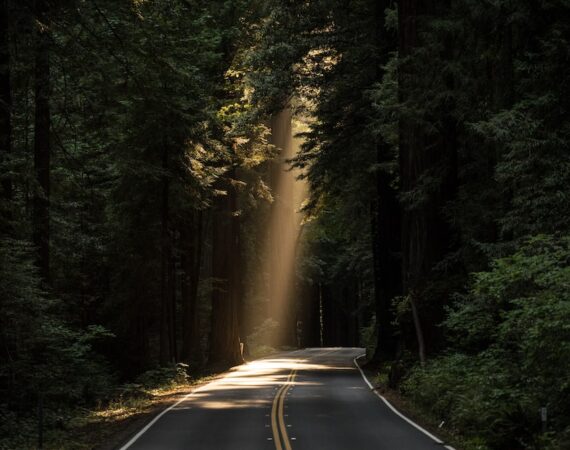 太陽能與綠色環保:對環境和人類的好處 4 photo 1470115636492 6d2b56f9146d