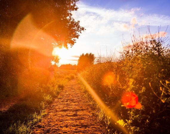 太陽能環保解決方案:為地球帶來可持續的未來 4 photo 1497003874741 791915795a6b