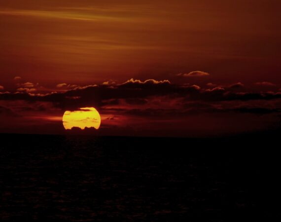 photo 1499676277068 4f353b14870b