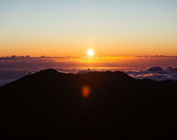 photo 1507031774658 589130daf90c