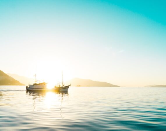 photo 1522804500346 54b1cff8cc39