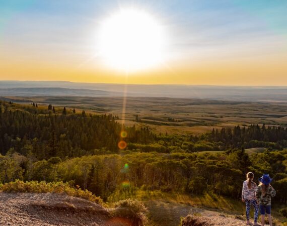 photo 1535921516579 270f91bf9e57