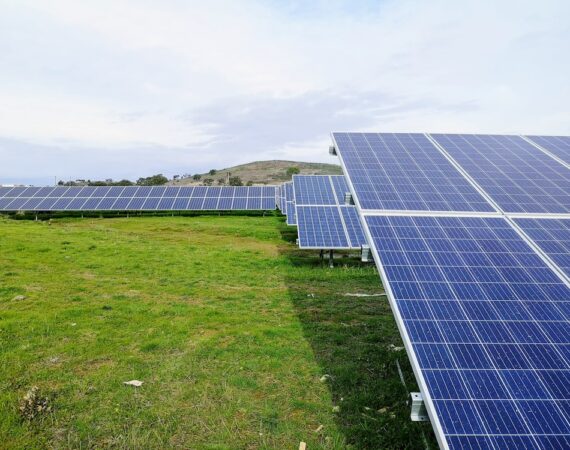 photo 1545209575 704d1434f9cd