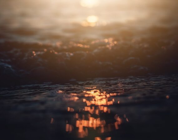 photo 1551513681 c8245e5a37ab