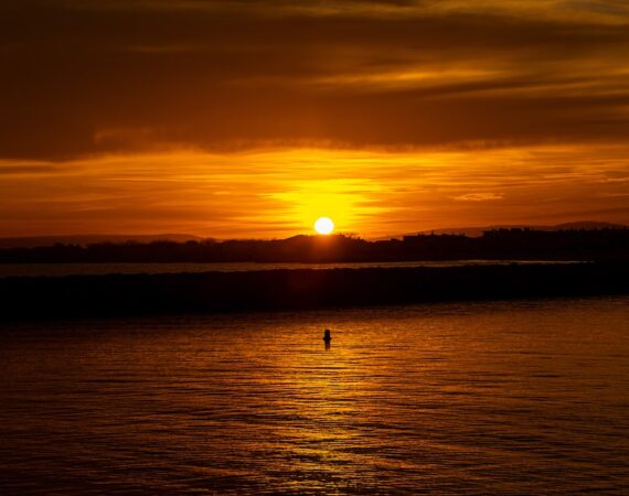 太陽能投資的風險與回報評估 2 photo 1551913998 35e5c288cb0e