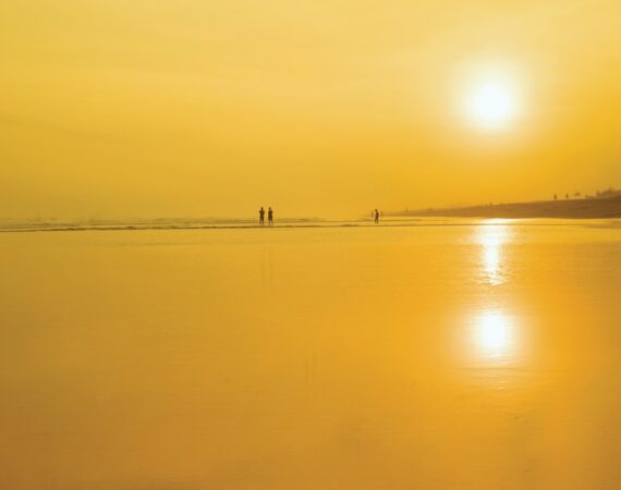 photo 1561647784 2f9c43b07a0b