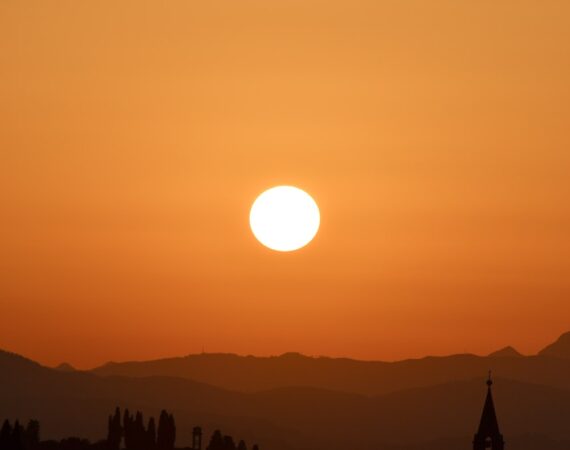 photo 1567893714774 058bddbf0439