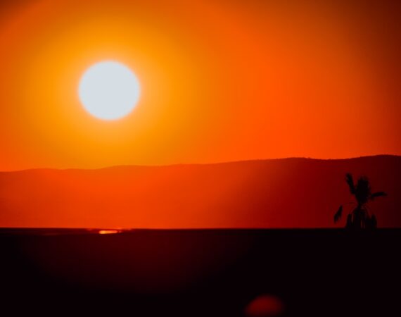 太陽能投資回報:為什麼這是一個值得考慮的投資選項? 6 photo 1571549173021 035381d4801f