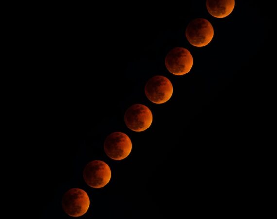 photo 1577800929753 bb4723761a0d