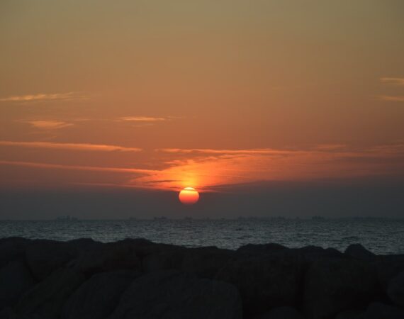 photo 1583317821603 2329313db521