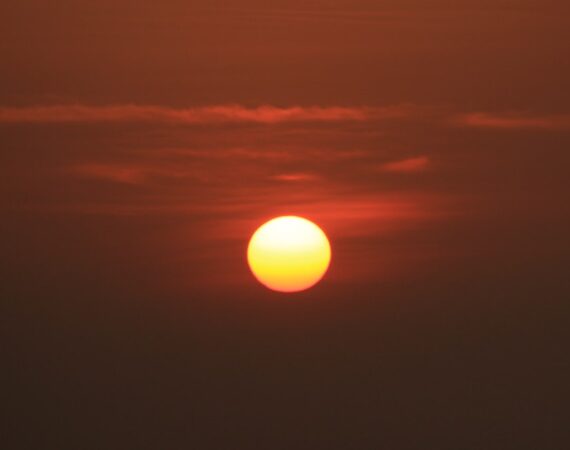 photo 1583403354290 1620043ad611