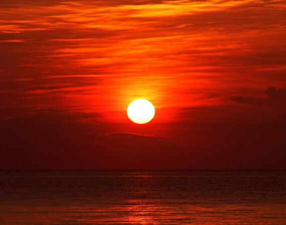 photo 1587275415390 9d7aa1c80226