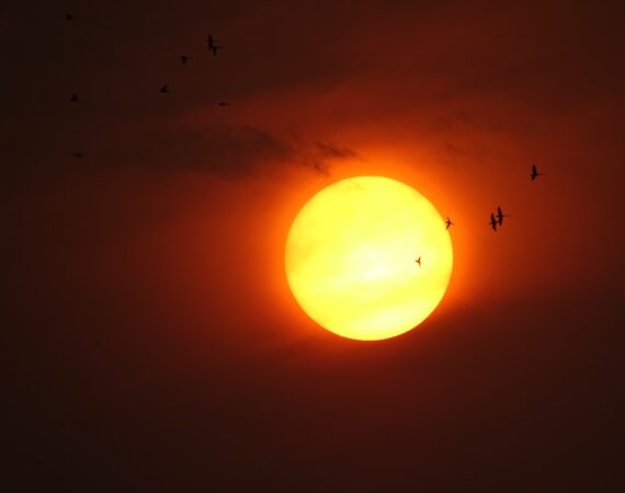 photo 1590759570941 b464cbb54042