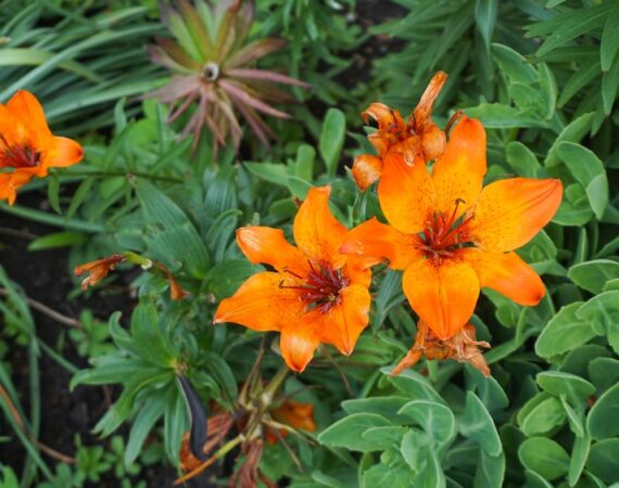 photo 1591439600679 41a5feb3585e